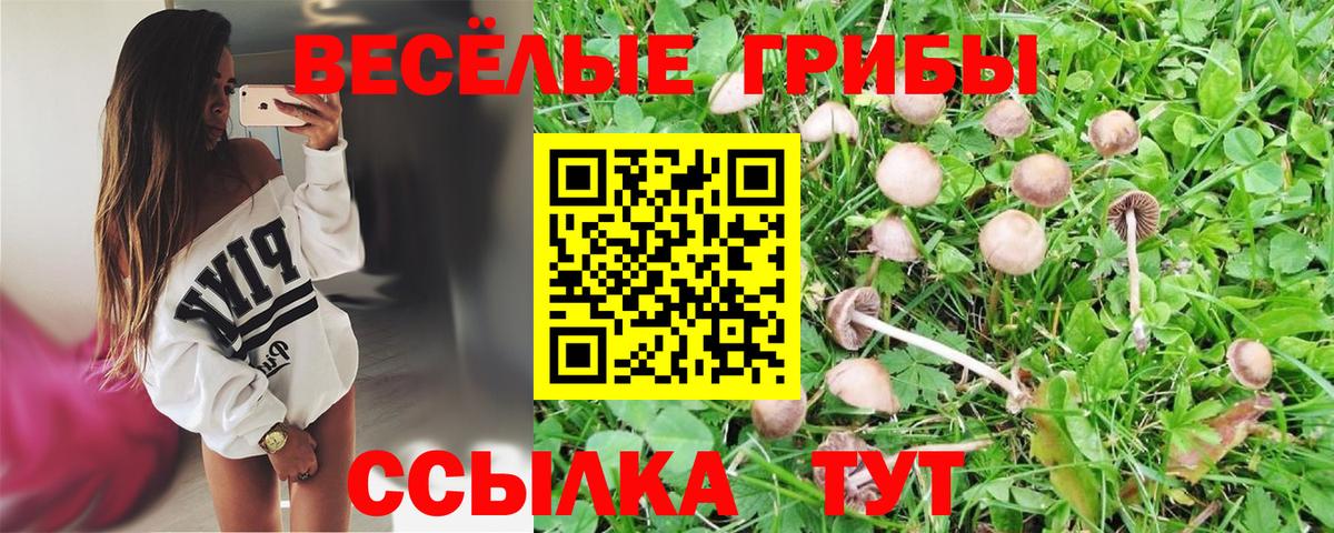 Галлюциногенные грибы ЛСД Йошкар-Ола